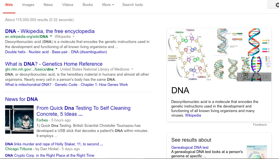 image of the google search results page